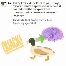 Language Quack GIF - Language Quack Duck GIFs