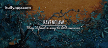 Ravenclawthey D Find O Way To Loth Uvive.Gif GIF - Ravenclawthey D Find O Way To Loth Uvive Text Art GIFs