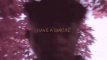 have a smoke lets smoke lets chill smoke smoker
