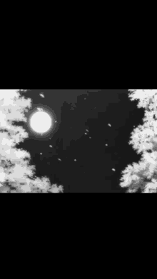 a black and white photo of a full moon surrounded by trees