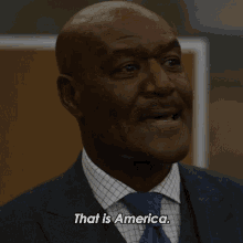 That Is America Adrian Boseman GIF - That Is America Adrian Boseman The Good Fight GIFs