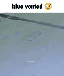 a person walking in the snow with the words blue vented above them