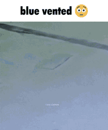 Blue Vented P_0_s_t_i_r_0_n_i_a GIF - Blue Vented P_0_s_t_i_r_0_n_i_a Amogus GIFs
