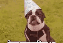 केक बढ़िया, जनमदिन मुबारक कुत्ते GIF - Dog Eating Birthday GIFs