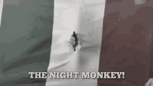La Scimmia Notturna The Night Moneky GIF - La Scimmia Notturna The Night Moneky Spiderman GIFs