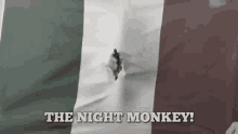 a bullet hole in a mexican flag with the words the night monkey