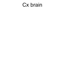 Cx Cx Brain GIF