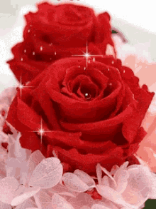 rose red rose glitter love