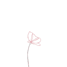 Simple Flower GIF
