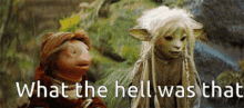 Dark Crystal What The Hell GIF - Dark Crystal What The Hell Whats That GIFs