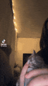 a tiktok video of a person holding a cat