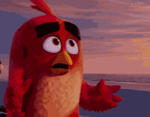 Angry Birds Uyutov GIF
