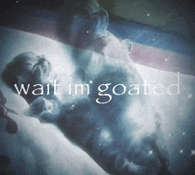 a picture of a cat with the words wait im goated on it