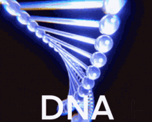Pacific Biosciences Dna Sequencing GIF - Pacific Biosciences Dna Sequencing Pacbio GIFs