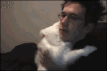 Hug Cat GIF - Hug Cat GIFs