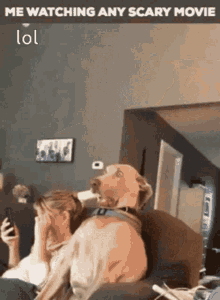 Scary Movie Funny As Hell GIF - Scary Movie Funny As Hell Funny Animals GIFs