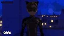 Miraculous Miraculous Cat Noir GIF