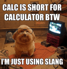Calc Slang GIF