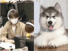 Puppysuk Choi GIF - Puppysuk Choi Hyunsuk GIFs