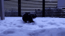 I Will Get You GIF - Snow Snowing Winter GIFs