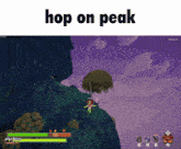 a screenshot of a video game with the words hop on peak above it