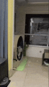 Cat Exercise GIF