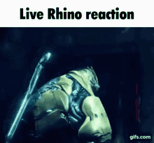 Live Reaction Rhino GIF - Live Reaction Rhino Warframe GIFs