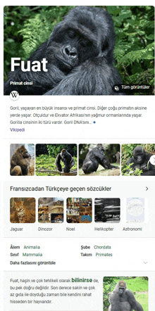 a screenshot of a google search page for fuat