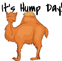 Wednesday Hump Day Motivation Animated Stickers Sticker - Wednesday Hump Day Motivation Animated Stickers Stickers