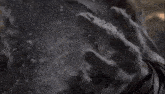 a close up of a person 's face in a dark room with water splashing on it .