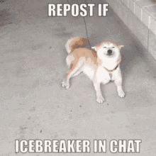 Icebreaker Icebreaker In Chat GIF - Icebreaker Icebreaker In Chat Repost If Icebreaker GIFs