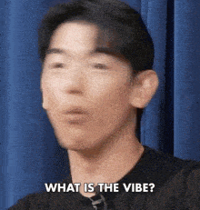 a blurry picture of a man 's face with the words `` what is the vibe '' written on it .