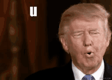 Trump Donald GIF - Trump Donald Hair GIFs