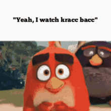 angry birds memes meme kracc bacc