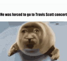 He Was Forced Travis Scott GIF - He Was Forced Travis Scott Otter GIFs