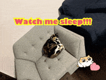a cat laying on a couch with the words watch me sleep written above it