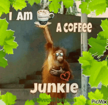 Vec50 Koffie GIF - Vec50 Koffie I Am A Coffee Junkie GIFs