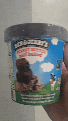 Ben And Jerrys Peanut Butter Half Baked GIF - Ben And Jerrys Peanut Butter Half Baked Ice Cream GIFs