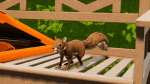 Rodent Royale Squirrel GIF - Rodent Royale Squirrel No GIFs