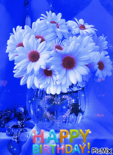 happy birthday daisies