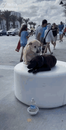 Rest Tired GIF - Rest Tired Exhausted GIFs