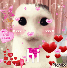 Picmix Silly Love Kitty Hi GIF - Picmix Silly Love Kitty Hi Hi Lennons GIFs
