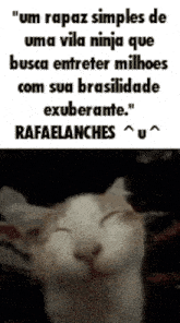 a cat with its eyes closed and a quote in spanish