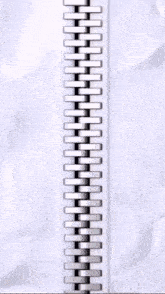 a close up of a zipper with a picture of a woman behind it