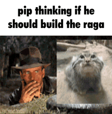 a pixelated image of a man and a cat with pip thinking if he should build the raga at the bottom