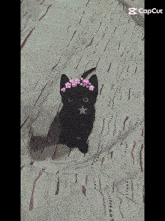 a black cat with a star on its head is on a bed