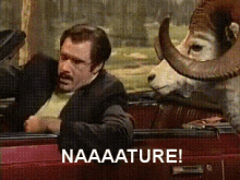 Will Ferrell Nature GIF - Will Ferrell Nature Mother Nature GIFs