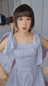 a girl in a blue plaid dress with polka dots on the sleeves stands with her hands on her hips