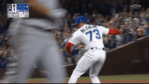 Cubs Cubs Win GIF - Cubs Cubs win Adbert alzolay - Discover & Share GIFs