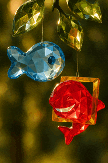a blue fish and a red fish hanging from a branch